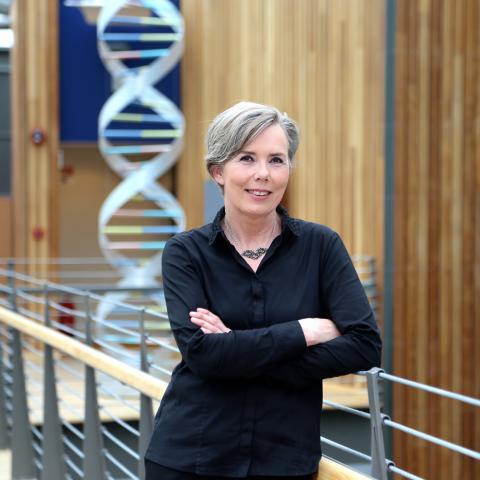 Unnur Þorsteinsdóttir